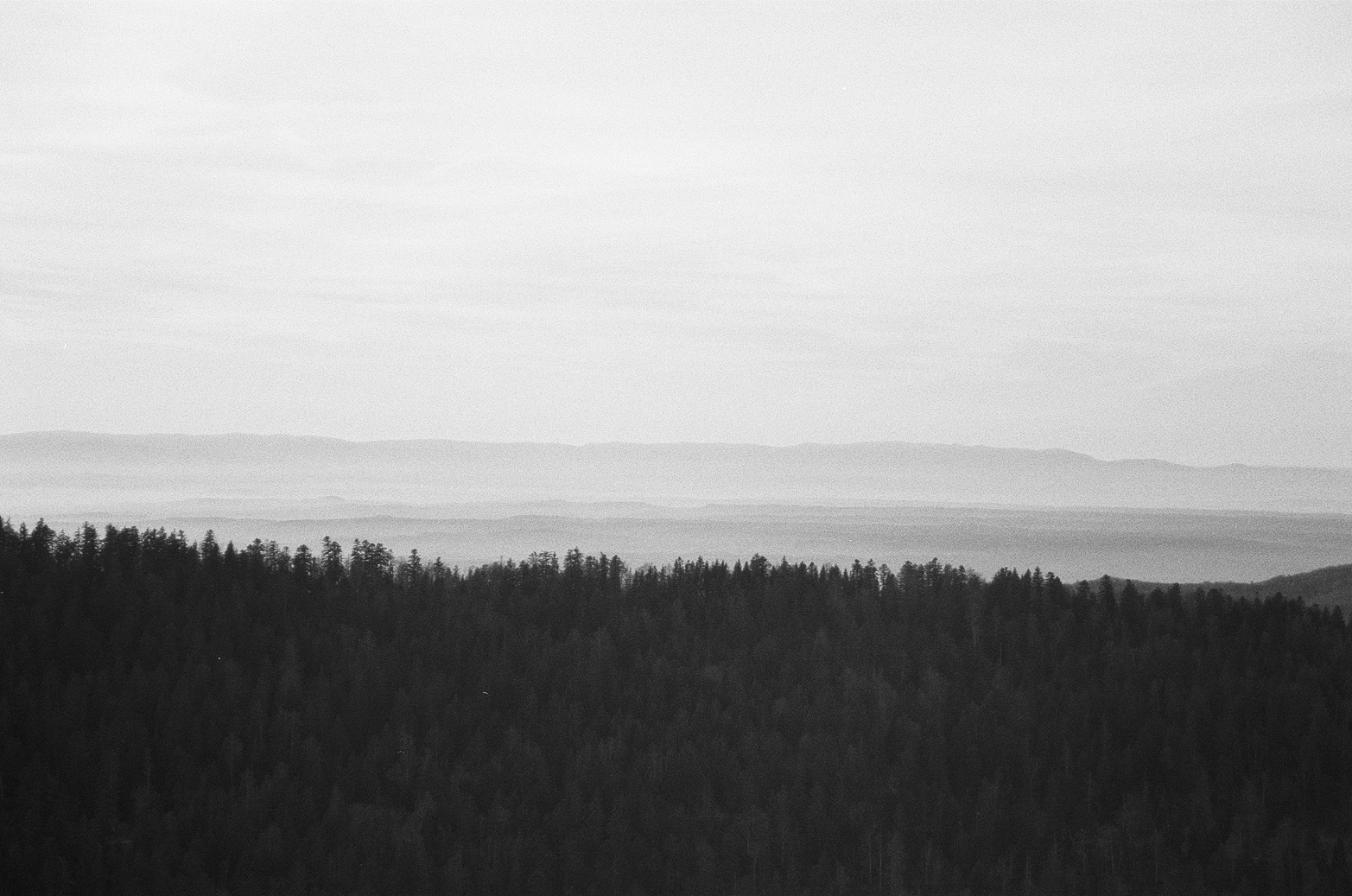 Grain de paysage